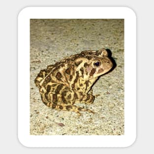 Perfect Toad Sticker